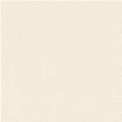 Platinum White N60111K